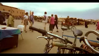                       دندنها