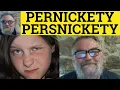 Pernickety Meaning - Persnickety Examples