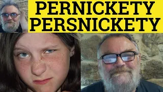 Pernickety Meaning - Persnickety Examples