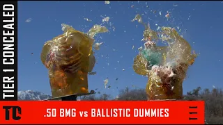Ballistic Dummy Lab Ballistic Torso Slow Motion - 9mm 10mm 50ae 223 6 5 creedmoor 50 BMG