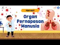 Download Lagu PENYAKIT ORGAN PERNAPASAN MANUSIA | KURIKULUM MERDEKA