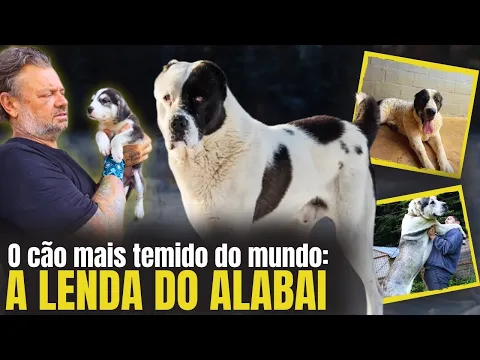 Vídeo do YouTube