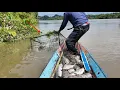 Download Lagu PREDATOR SUNGAI KEMBALI TERJEBAK