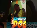 Download Lagu Doge o Seresteiro (Apaixonado)