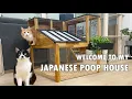I made the best litter box ever for my cats