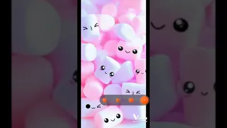 طائر النورس 