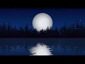 Water Reflection Motion Graphics in After Effects