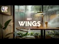 Download Lagu Birdy ~ Wings (lyrics)