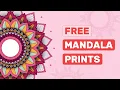 5 Free Printable Mandala Colouring Pages for Kids and Adults Screenshot Colour Colour Sonic