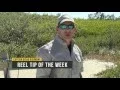 Catching Fiddler Crabs The Easy Way