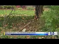 One teen dead 5 others injured after Webster car crash