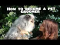 How to become a pet groomer How much money do groomers make