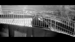 iam petit fr re clip officiel hd 