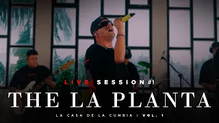 the la planta no me ense aste sin testigos por el contrario herederos hoy live session 1