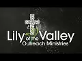 Lily Of The Valley