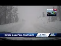 Whiteout conditions in snowy California Sierra