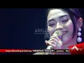 Download Lagu Arlida Putri - Ra Jodo | OM. ADELLA