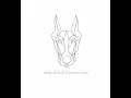 Akila Doberman Ear Posting