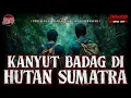 Lagu KISAH HOROR HUTAN SUMATERA SEBELUM BENCANA MELANDA !!!