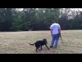IMG 0970
