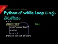 Understanding while Loop in Python Telugu Lesson 54 Python For Beginners