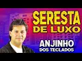 Download Lagu ANJINHO DOS TECLADOS SERESTA DE LUXO