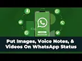 How to put Images Sound and s on your WhatsApp Status - WhatsApp Tutorial for Businesses
