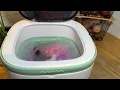 Portable Washing Machine Review 16L Foldable Compact Laundry for Travel RV and Small Spaces