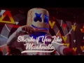 Download Lagu Mike Perry - The Ocean (Marshmello remix)
