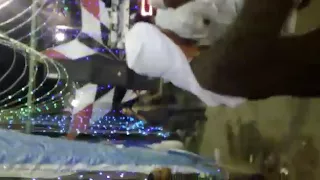 أفراح البشره محمد سيد البشير 