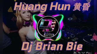 huang hun remix by dj brian bie