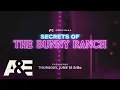 Sneak Peek Secrets of the Bunny Ranch Delves Into One of the World s Most Famous Legal Brothels