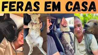 PETS ESTRANHOS: veja os animais estranhos e perigosos que estão sendo criados dentro de casa.
