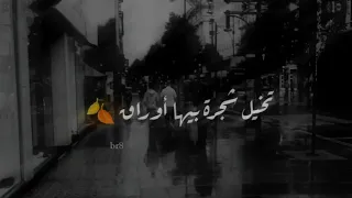 حالات واتس اب تخيل شجرة بيها أوراق Br8 