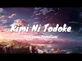 Download Lagu Kimi Ni Todoke - Tanizawa Tomofumi | Kimi Ni Todoke OST | Lyrics | nekoねこ