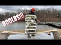 TORTURE Testing 2x4 s Standard vs Pressure Treated vs Homemade Results May Surprise You