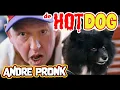 Lagu Andre Pronk - de HOTDOG | CARNAVAL 2026 | Officiële Videoclip