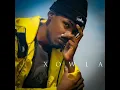 Download Lagu Xowla Istallion 🔥