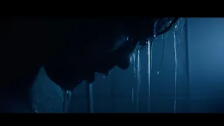 Electrobirds Листівки Official Video 