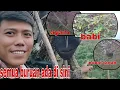 Download Lagu BERBURU AYAM HUTAN,,NEKAT shot babi dengan bocap monolet op 2000 12,6 gr