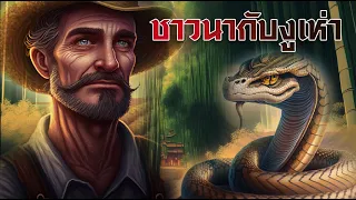 ชาวนากับงูเห่า (2 Version) | นิทานก่อนนอน | นิทานอีสป | PA PLEARN