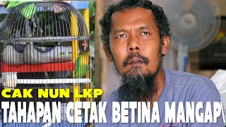 Download Tahapan Cetak Lovebird Betina Konslet Mangap [Cak Nun LKP] MP3