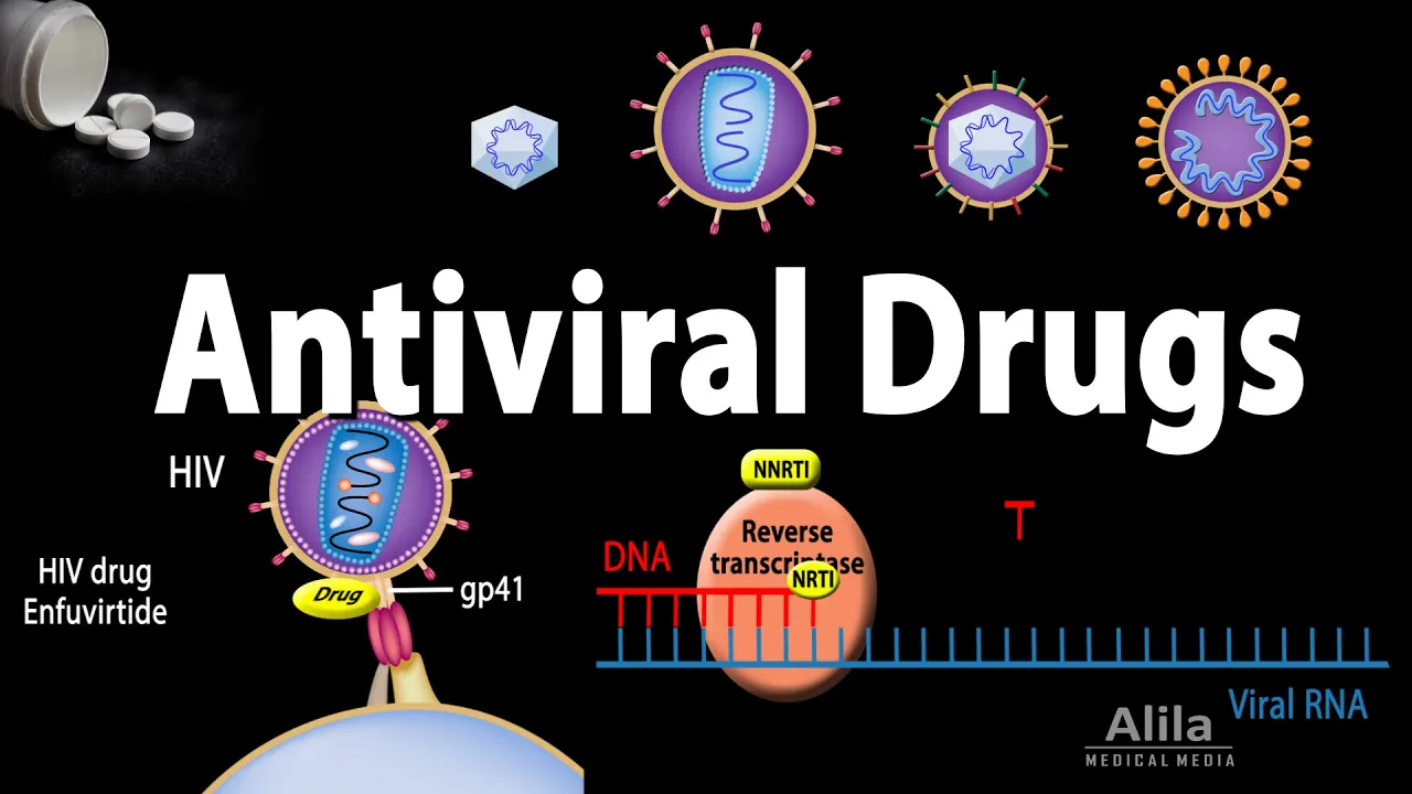 Antiviral Drugs Mechanisms of Action, Animation