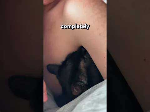 His armpit smells like catnip 😂