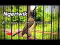Download Lagu SOGON NGERIWIK !! menaikan birahi