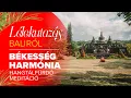 Download Lagu Békesség Harmónia Hangtálfürdő meditáció I Ünnepi Lélekutazás Baliról