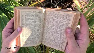 Reading Psalm 23 in the Palms, My father’s 1886 historic Bible.
