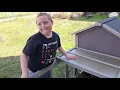 Harry s New Chickens Lay Eggs and Hot Wheels - A Down Syndrome Story