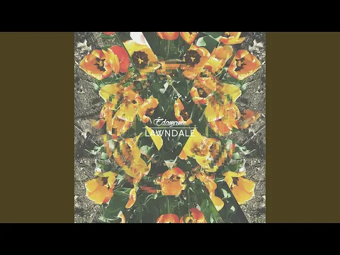 Clipe de Sleep Deep - Edamame