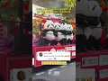 Download Lagu Cute panda dolls appeared on the streets of Thailand. #panda #thailand #apt
